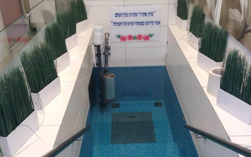 כפר תבור 2